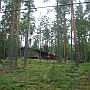 Summer cottage